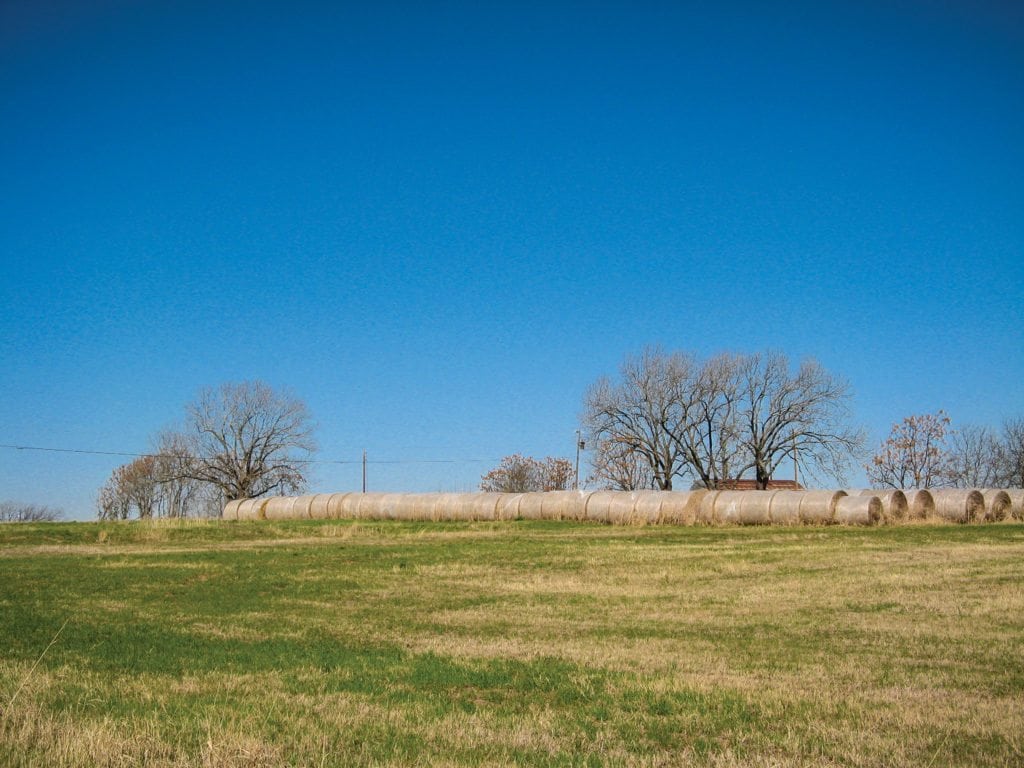 Field with Hay Bales