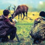 wildlife recreation revenue