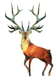 Deer Management