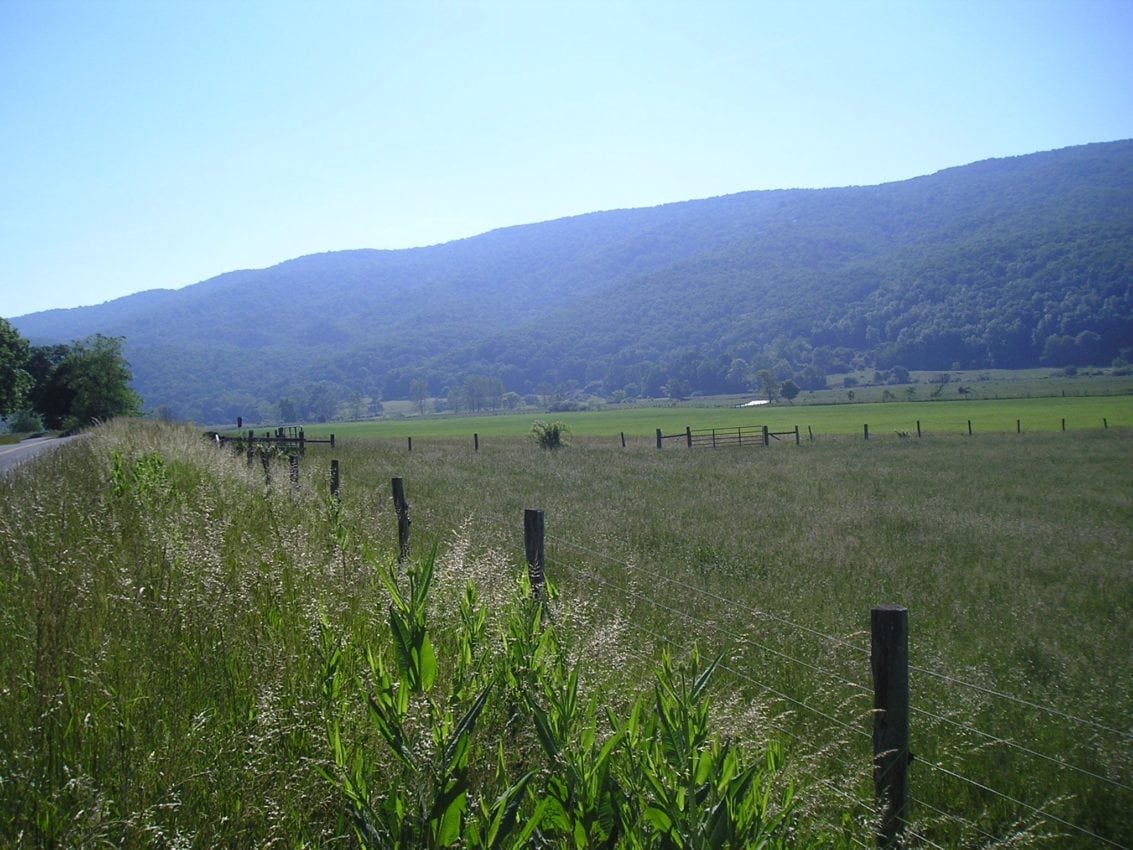 View of Little Mountain and the open meadows along Virginia Route 220