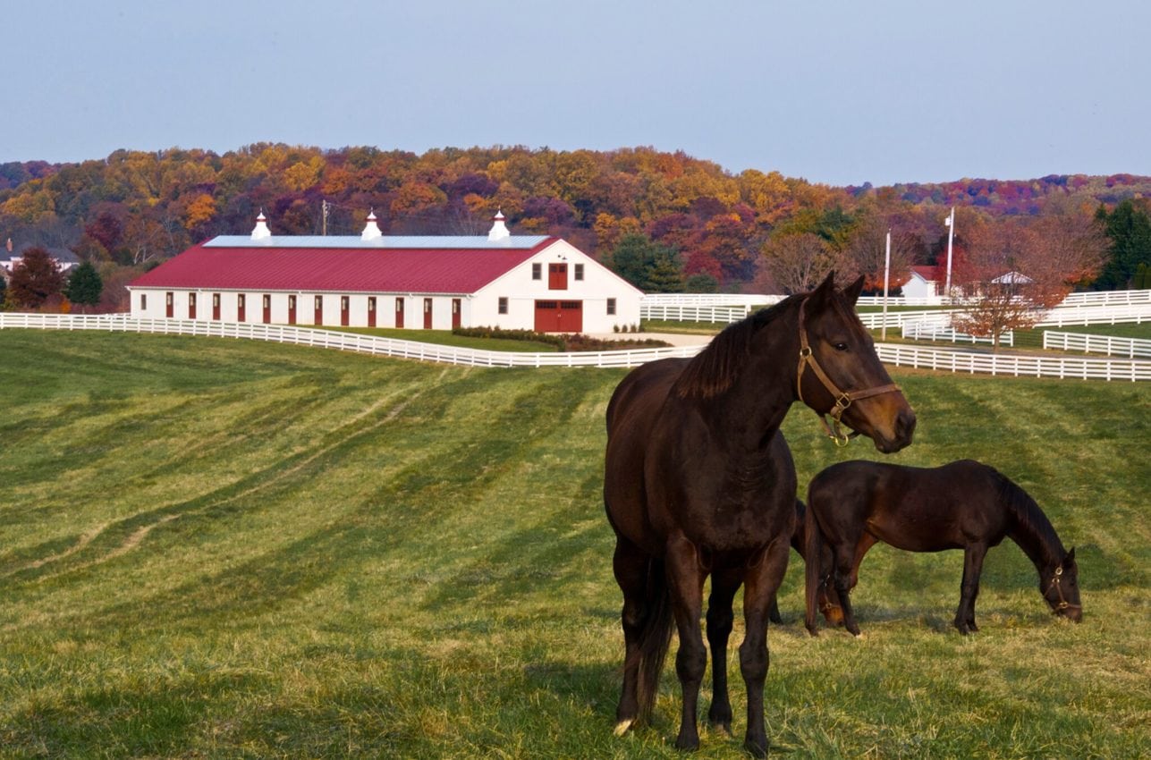 Barn at Sagamore Farm / Photo by John Blackburn