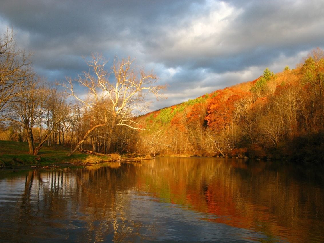 Autumn at the Jackson River viewed from the sporting club site