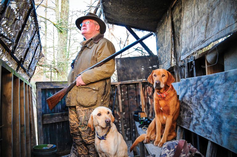 gun dog trainer