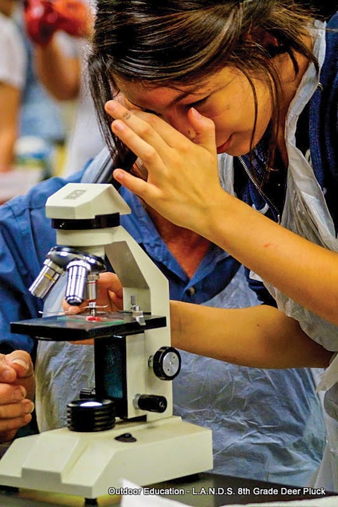 Girl looking through microscope