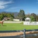 Celebrity Real Estate: Oprah Winfrey's Seamair Farm