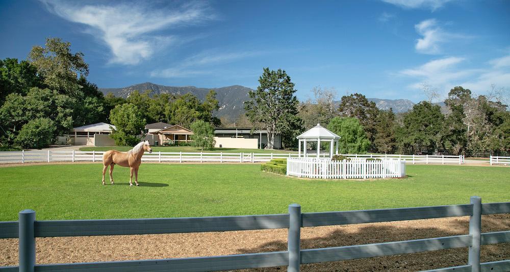 Celebrity Real Estate: Oprah Winfrey's Seamair Farm