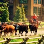 dude ranches for sale