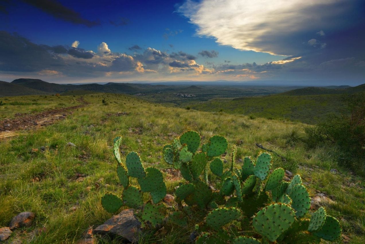 Largest Land for Sale in Texas: Barrel Springs Ranch