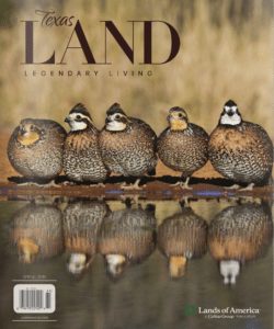 TexasLandspring2016cover