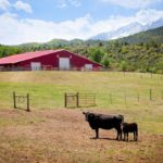 unique barns for sale