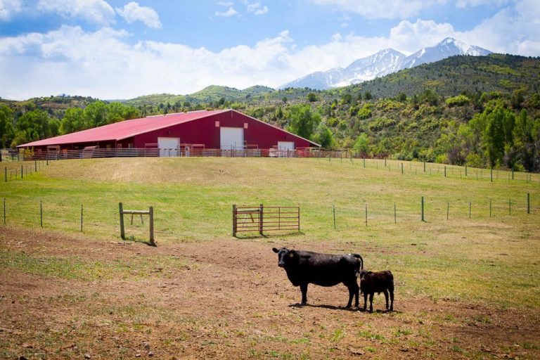 unique barns for sale