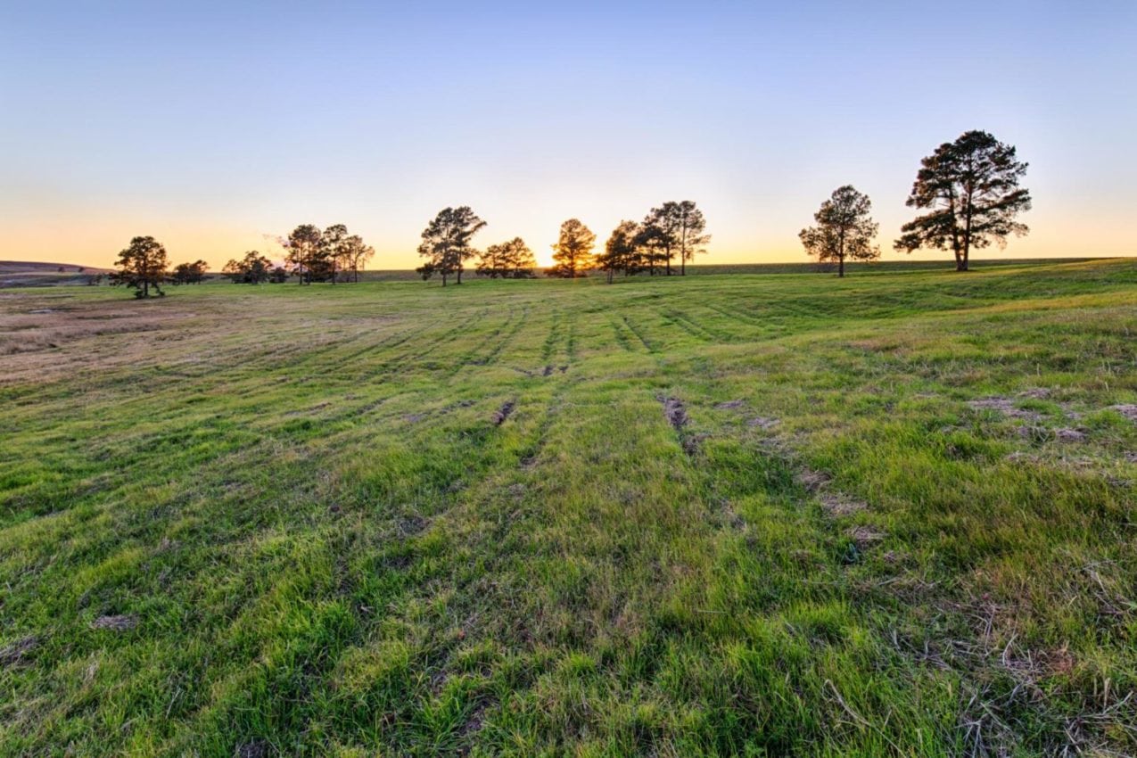 Sandow Lakes Ranch, Texas