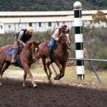 Equestrian estate for sale in California