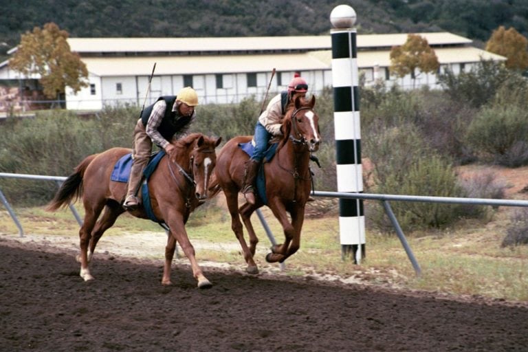 Equestrian estate for sale in California