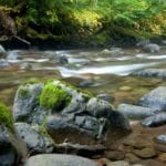 Riparian land management advice