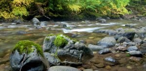 Riparian land management advice