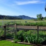 hobby farming guide