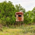 texas hunting land