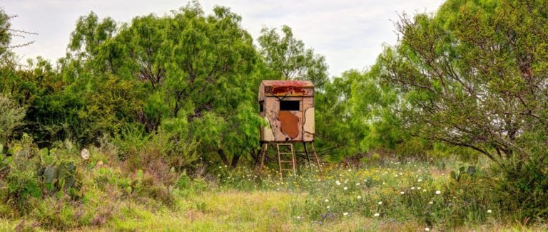 texas hunting land