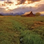 ranch buying advice