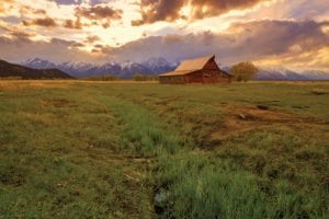 ranch buying advice
