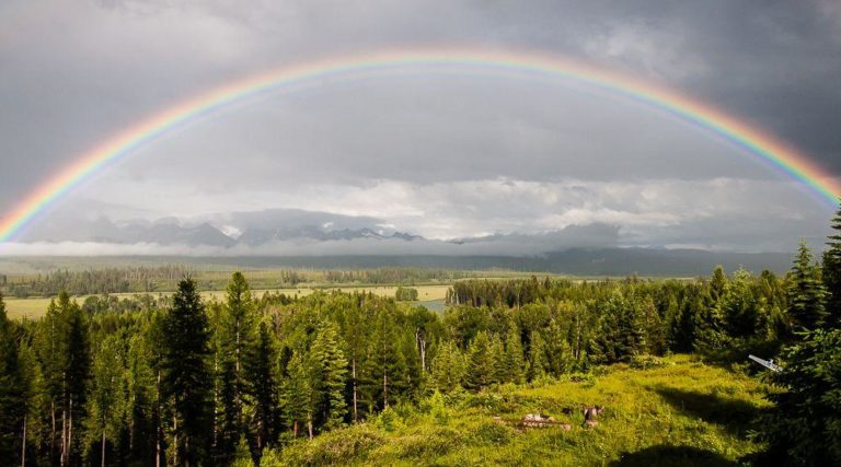 land near national parks