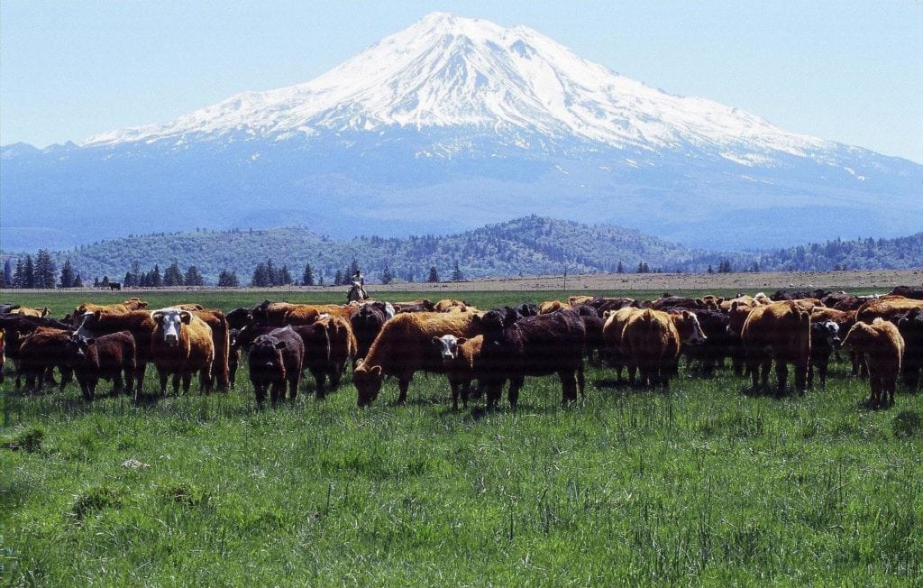 Grazing Habitat tips