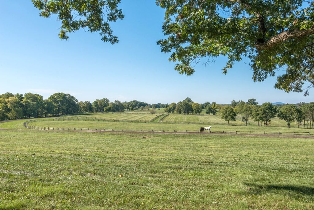 View of Virginia's Wexford estate, former home to John and Jacqueline Kennedy. View property listing on Lands of America.