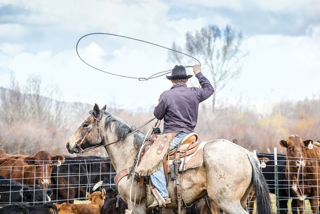 profitable ranch advice