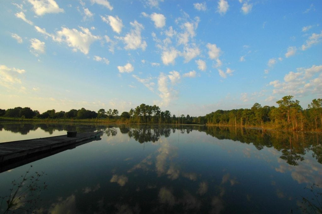 View of healthy forestland at 3,535-acre Natural Bridge Plantation in Walton County, Florida. Listed for sale at $10.6 million, the property has been under a carefully prescribed-burn program for over 50 years.