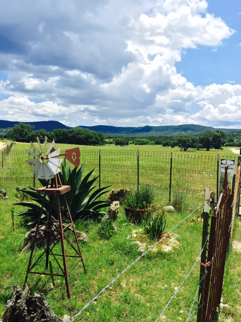 Image of windmill on land for sale in Texas