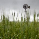 Image of windmill on land for sale in Oklahoma