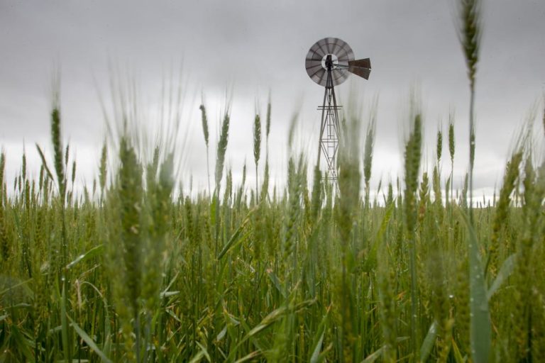 Image of windmill on land for sale in Oklahoma