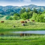 November 2016 land news: most expensive new listing