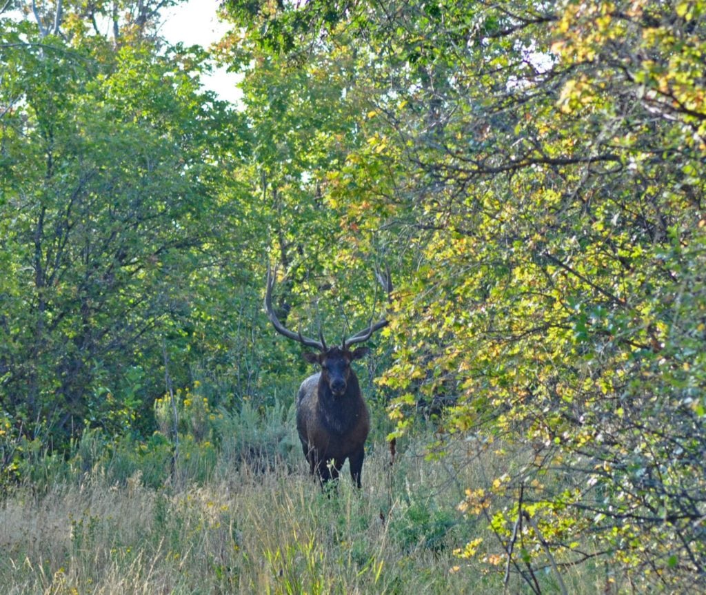 listing of the week: eagle ridge ranch, utah