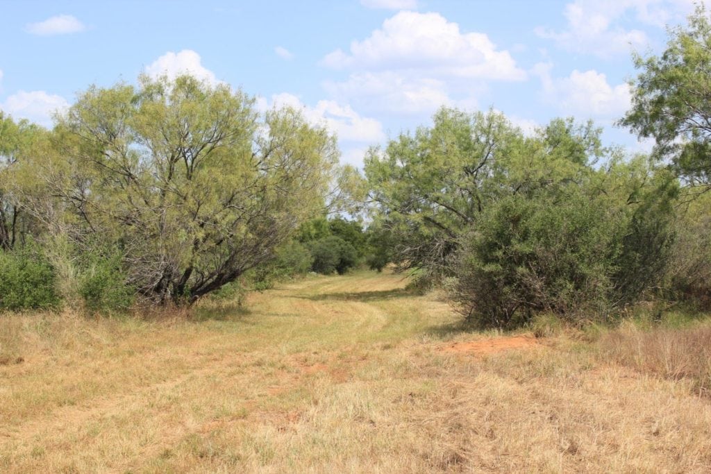 Top Land Broker: Johnny Cavazos, The Texas Ranch Company