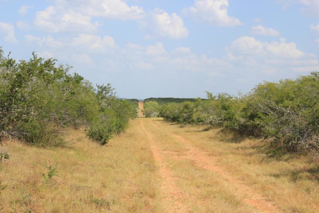 Top Land Broker: Johnny Cavazos, The Texas Ranch Company