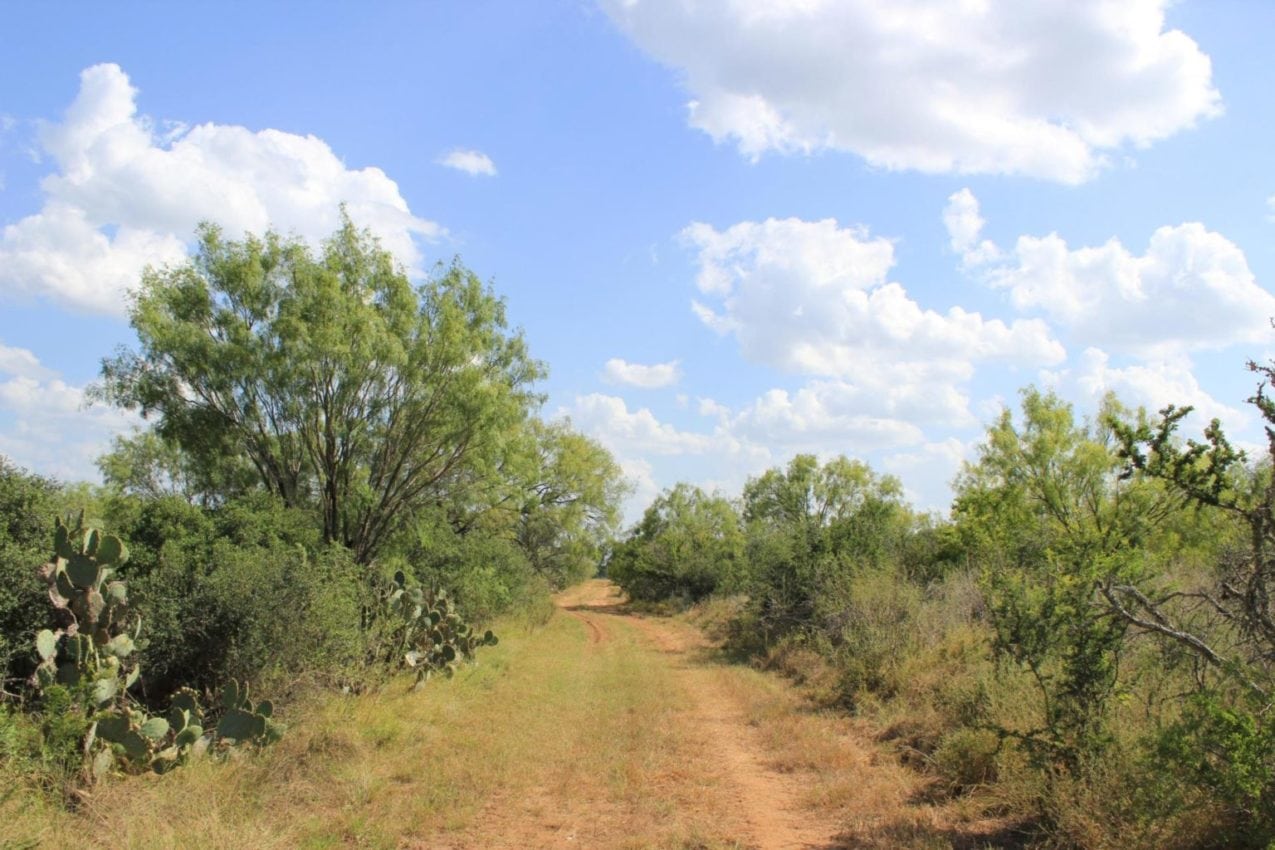 Top Land Broker: Johnny Cavazos, The Texas Ranch Company