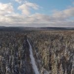 Maine timberland for sale