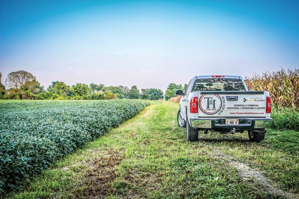 image of land, rural landscape, land for sale