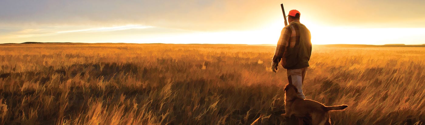 Hunter, hunting dog