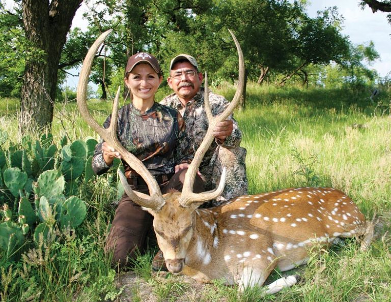 axis deer, Texas, hunting