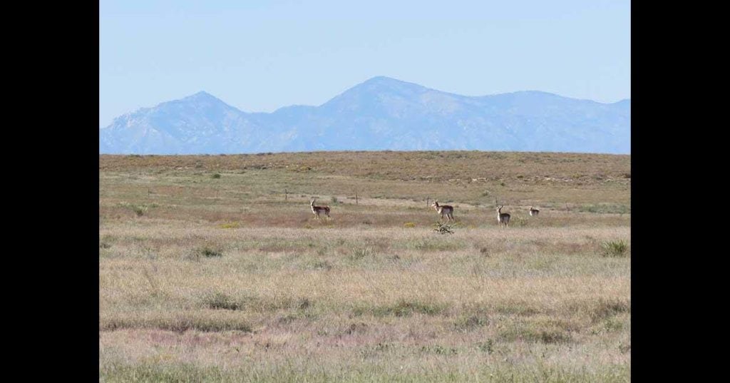 sam middleton thompson ranch sale