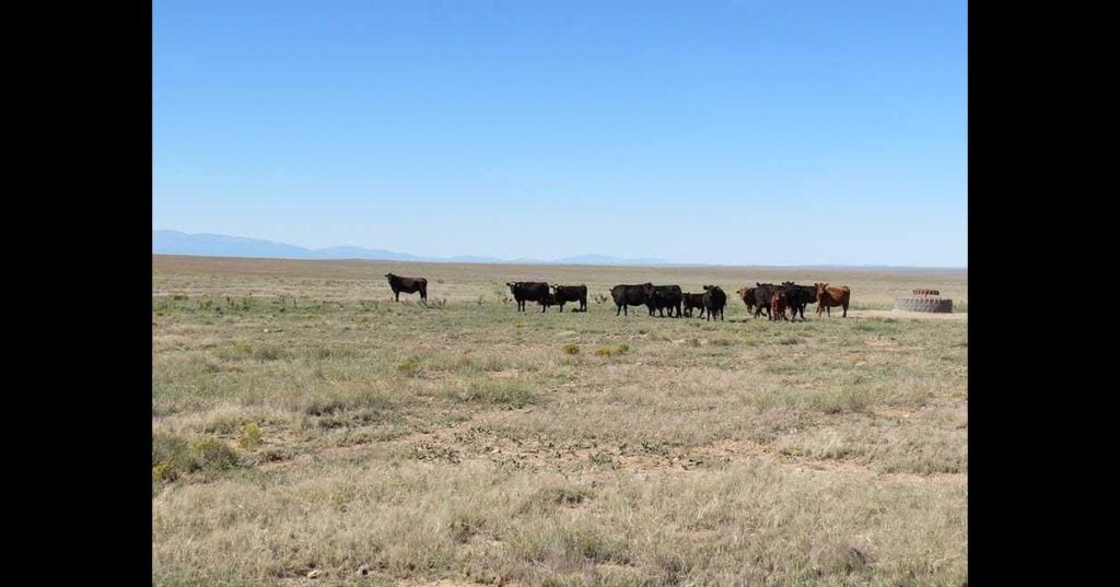 sam middleton thompson ranch sale