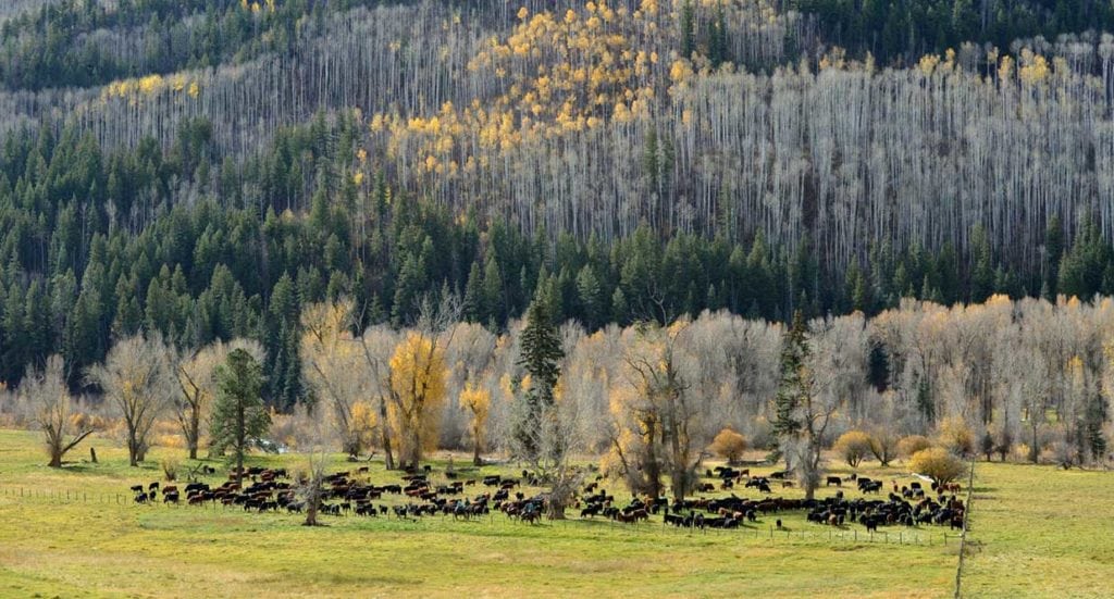 Stoner Ranch sale, southwest Colorado