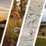 April 2017 land news