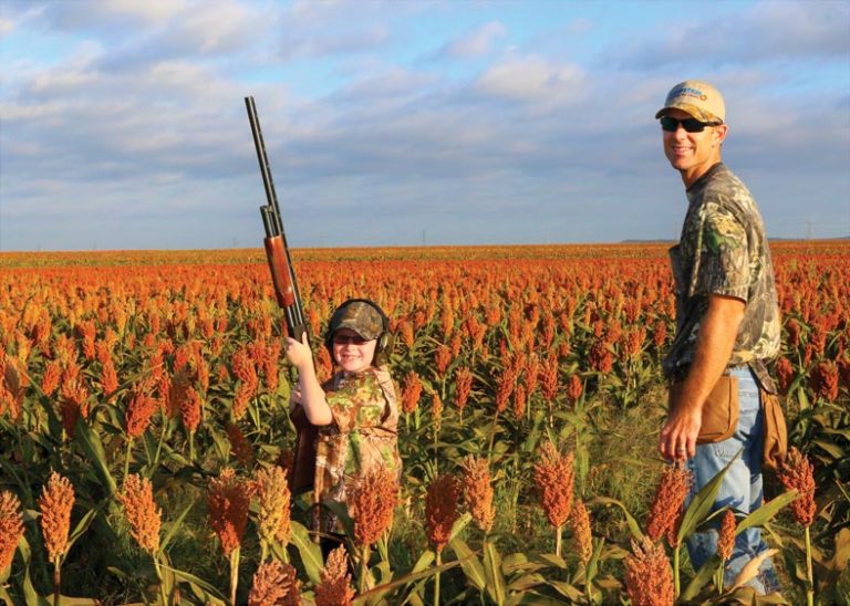 Father, Son, Hunting, Field, Dove