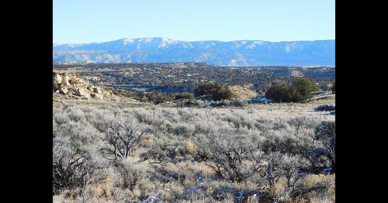 Scenic New Mexico Cattle Ranch Sold by Sam Middleton | Land.com