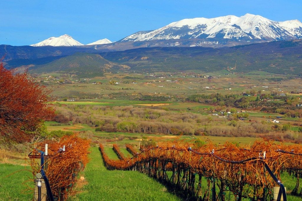 west elks ava colorado vineyard