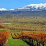 west elks ava colorado vineyard